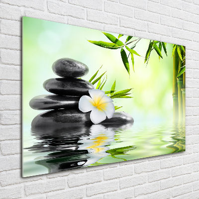 Quadro vetro Plumeria e bambù