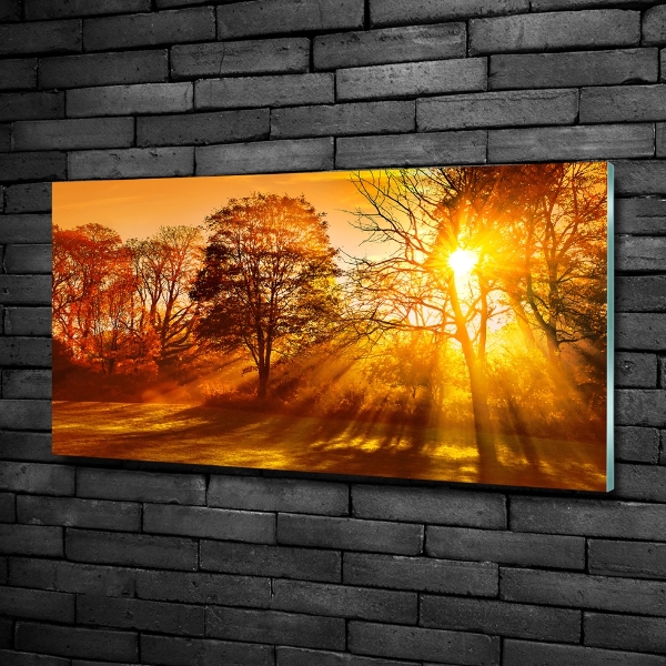 Quadro in verde Tramonto