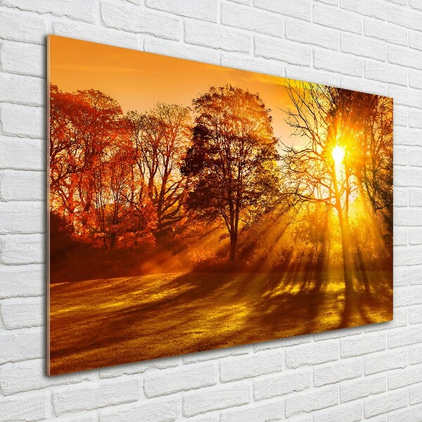 Quadro in verde Tramonto