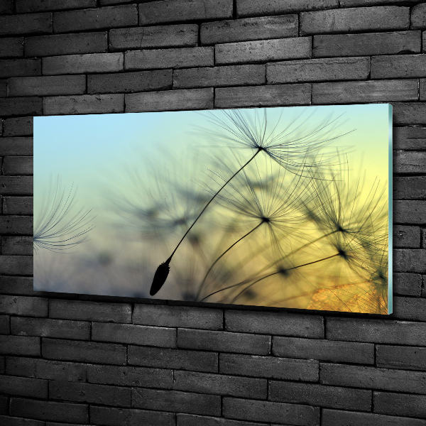 Quadro su vetro Semi di tarassaco