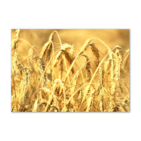 Quadro in verde Caffè