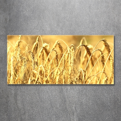 Quadro in verde Caffè