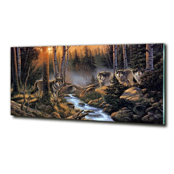 Quadro vetro Un branco di lupi