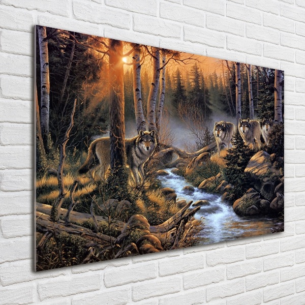 Quadro vetro Un branco di lupi