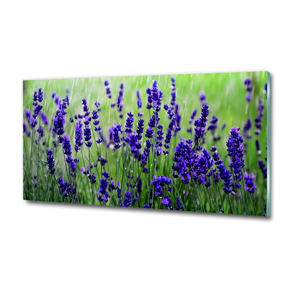Quadro su vetro Lavanda
