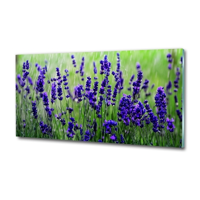 Quadro su vetro Lavanda