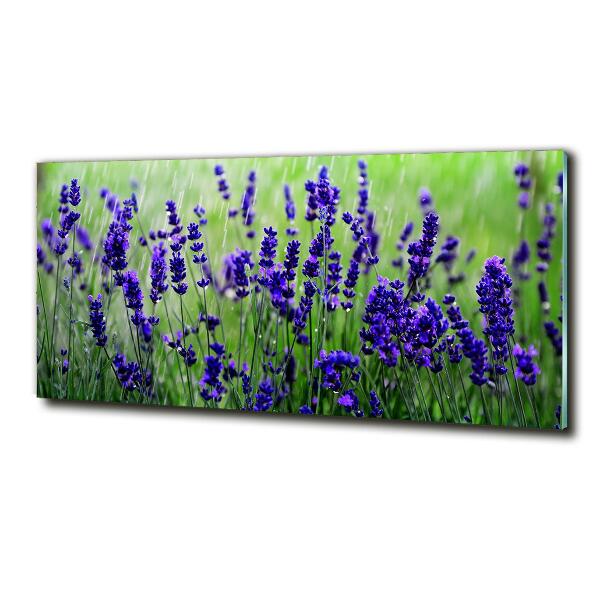 Quadro su vetro Lavanda