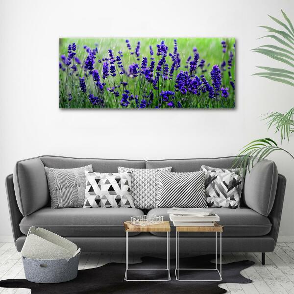 Quadro su vetro Lavanda