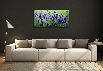 Quadro su vetro Lavanda