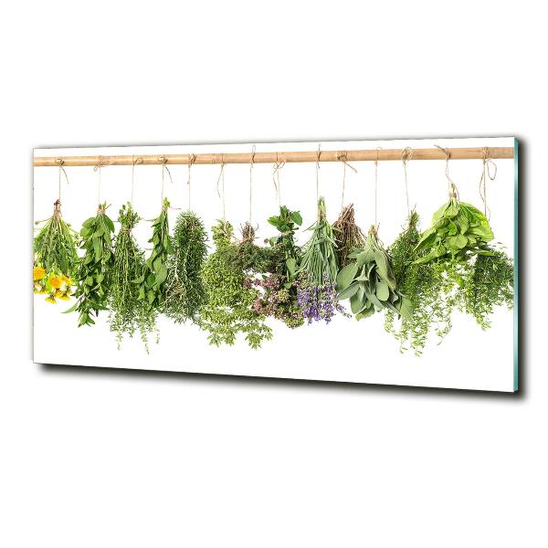 Quadro su vetro Erbe aromatiche su un filo
