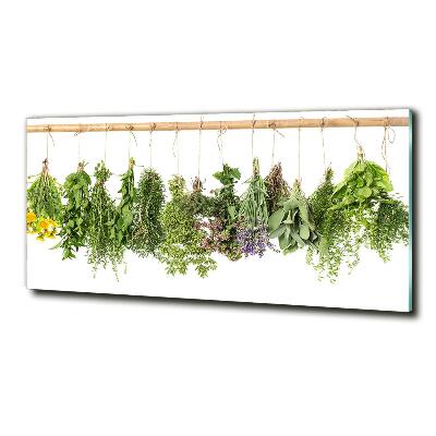 Quadro su vetro Erbe aromatiche su un filo