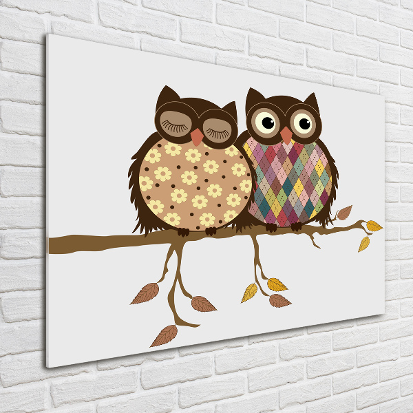 Quadro in verde Due gufi su un ramo