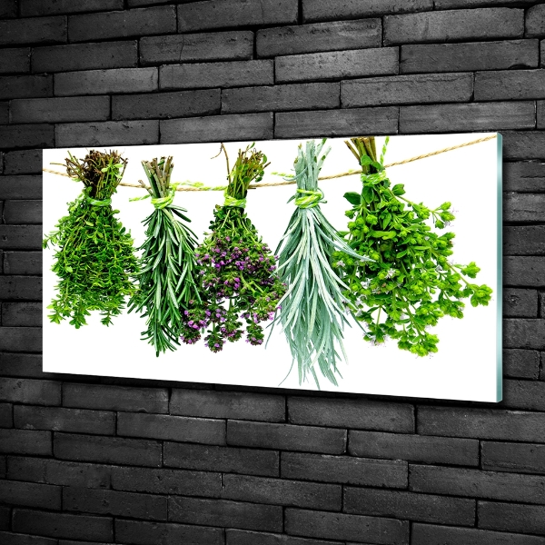 Quadro su vetro Erbe aromatiche su un filo
