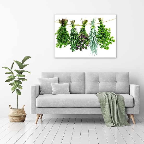 Quadro su vetro Erbe aromatiche su un filo