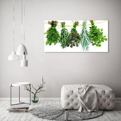 Quadro su vetro Erbe aromatiche su un filo