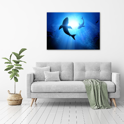 Quadro su vetro Due squali