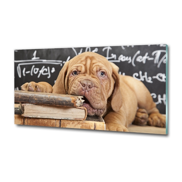 Quadro su vetro Il cane sta mordendo il libro