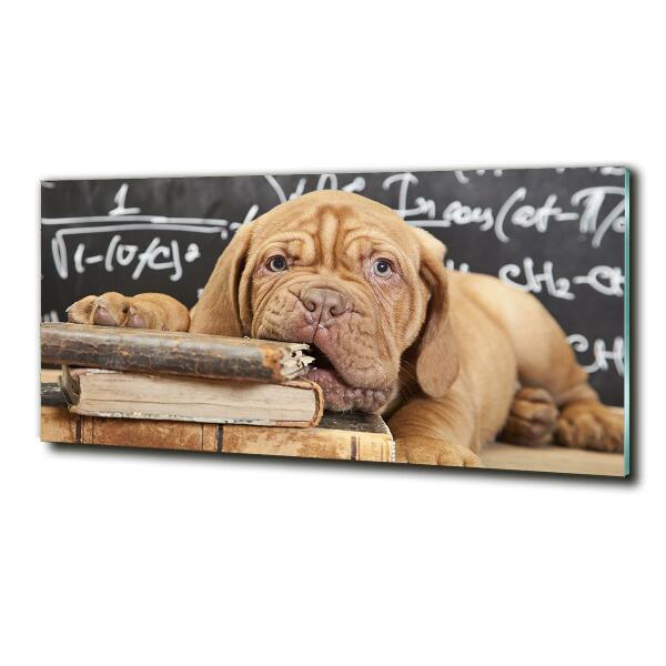 Quadro su vetro Il cane sta mordendo il libro