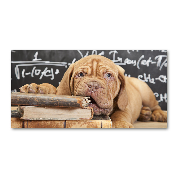 Quadro su vetro Il cane sta mordendo il libro