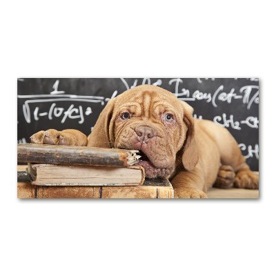 Quadro su vetro Il cane sta mordendo il libro