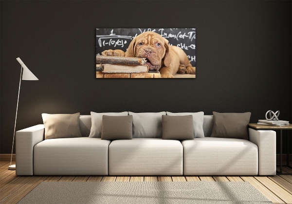 Quadro su vetro Il cane sta mordendo il libro