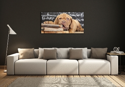 Quadro su vetro Il cane sta mordendo il libro