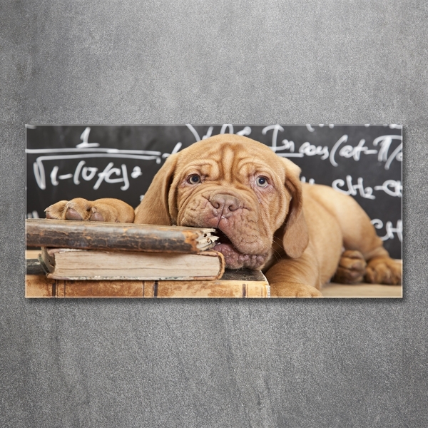 Quadro su vetro Il cane sta mordendo il libro
