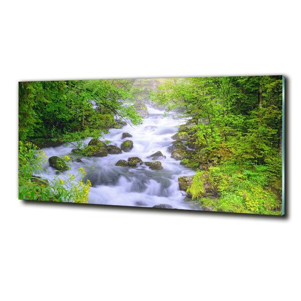 Quadro su vetro Fiume di montagna
