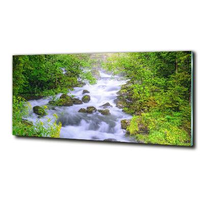 Quadro su vetro Fiume di montagna