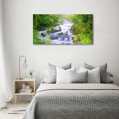 Quadro su vetro Fiume di montagna