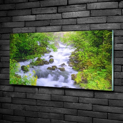 Quadro su vetro Fiume di montagna