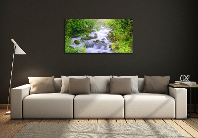 Quadro su vetro Fiume di montagna