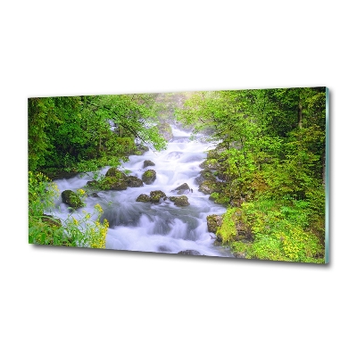 Quadro su vetro Fiume di montagna