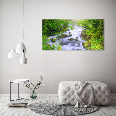 Quadro su vetro Fiume di montagna