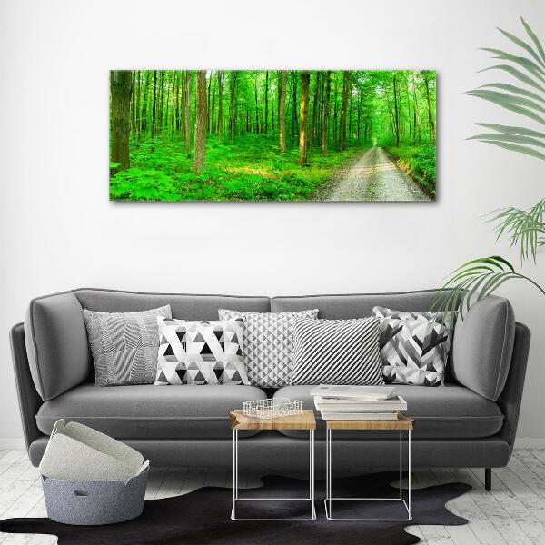 Quadro su vetro Alberi nella foresta
