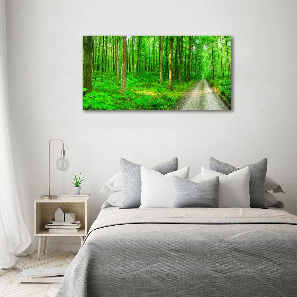 Quadro su vetro Alberi nella foresta