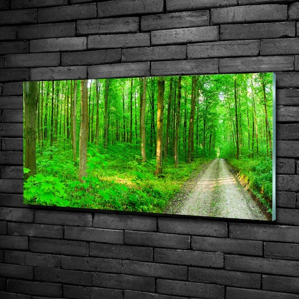 Quadro su vetro Alberi nella foresta