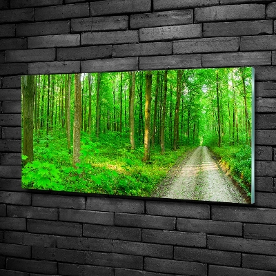 Quadro su vetro Alberi nella foresta