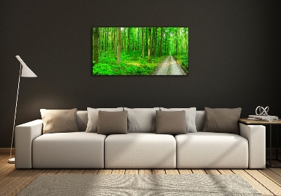 Quadro su vetro Alberi nella foresta