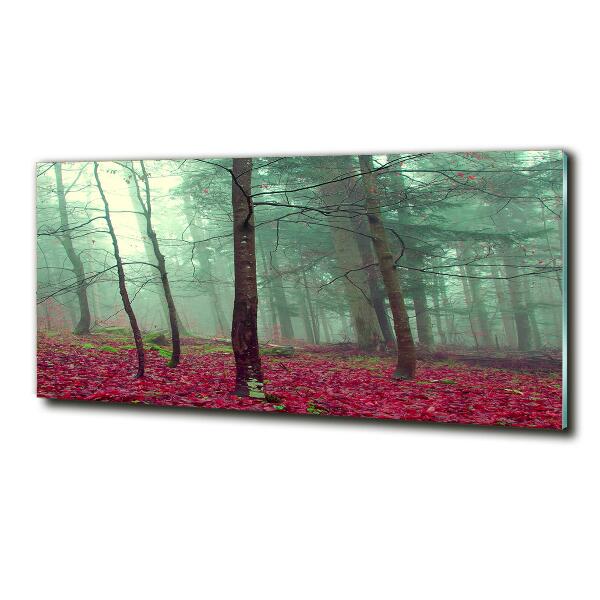 Quadro su vetro Foglie autunnali