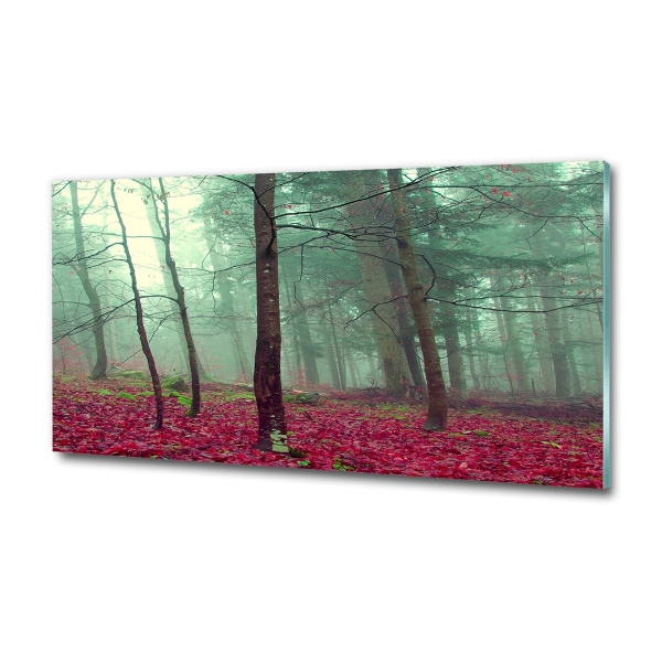 Quadro su vetro Foglie autunnali