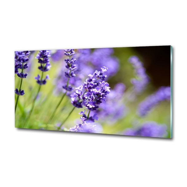 Quadro vetro Lavanda