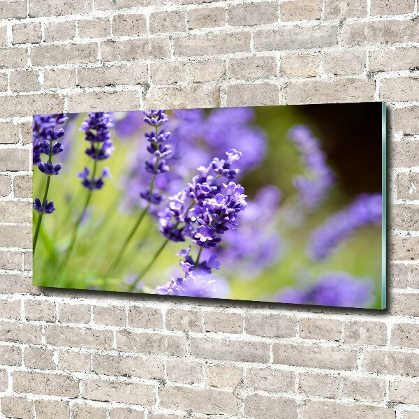 Quadro vetro Lavanda