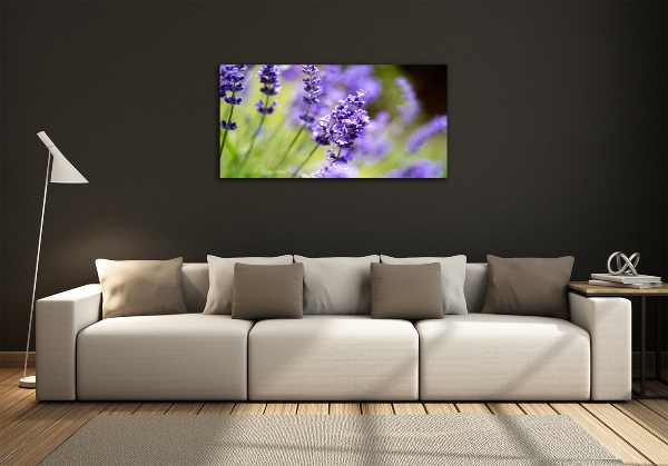 Quadro vetro Lavanda