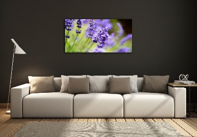 Quadro vetro Lavanda