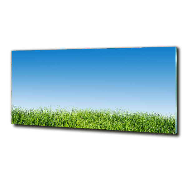 Quadro in vetro Erba