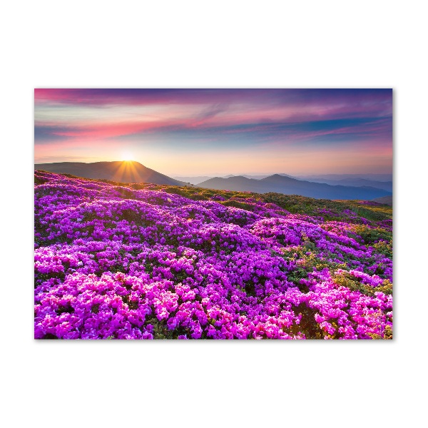 Quadro in verde Fiori in montagna