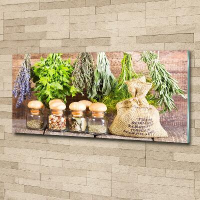 Quadro su vetro Erbe aromatiche su un filo