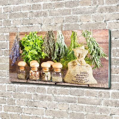 Quadro su vetro Erbe aromatiche su un filo