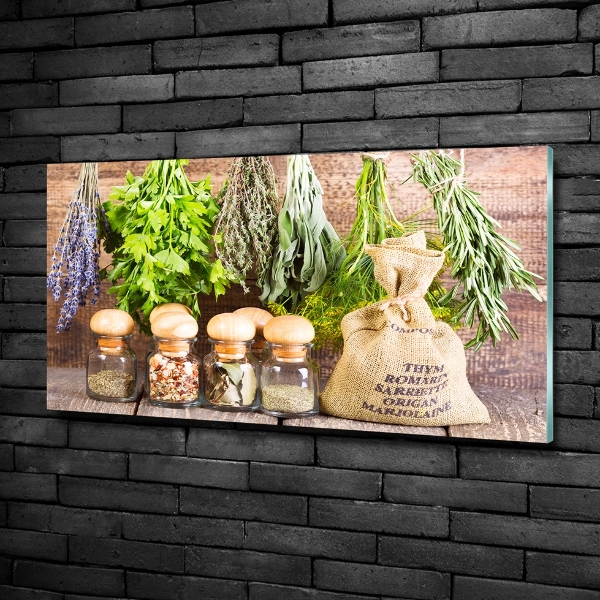 Quadro su vetro Erbe aromatiche su un filo